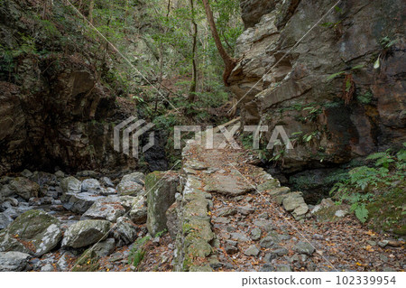 Rain waterfall of rain begining Rain waterfall of rain begining 102339954