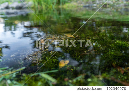 Egawa spring water 102340078