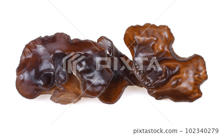 ear mushroom on white background 102340279