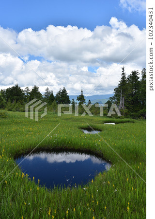 Mt. Hiuchigatake, Miike Route, Oze, Fukushima Prefecture Mt. Hiuchigatake, Miike Route, Oze, Fukushima Prefecture 102340431
