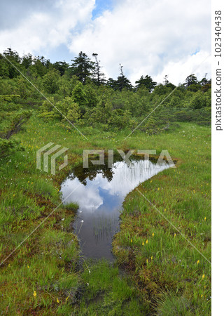 福島縣尾瀨市三池路線牛打岳 福島縣尾瀨市三池路線牛打岳 102340438