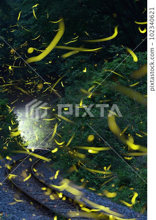 螢火蟲，比較明亮的合成 102340621