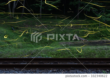 Firefly, comparative bright synthesis 102340622