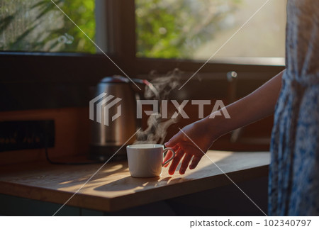 Tiny houses and Small Living concept Tiny houses and Small Living concept 102340797