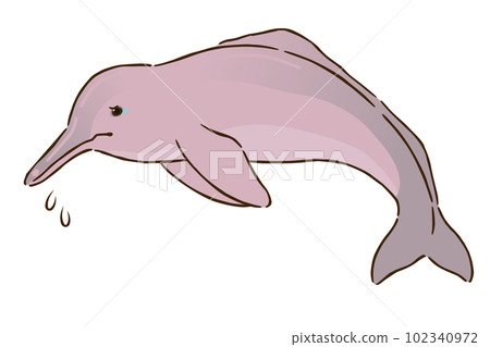 sad amazon river dolphin sad amazon river dolphin 102340972