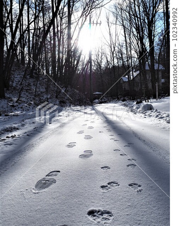 Footprints of people and dogs in the snow Walking on the snowy road 5 Footprints of people and dogs in the snow Walking on the snowy road 5 102340992
