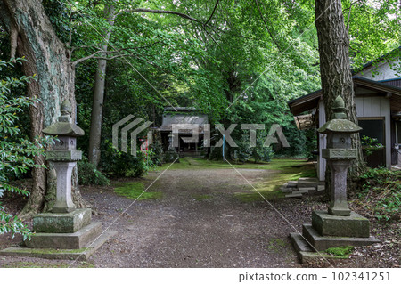 參拜堂前青苔覆蓋的小安神社[茨城縣霞浦市] 102341251