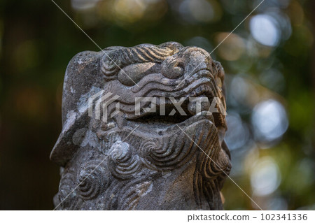 烤寺 102341336