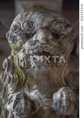 烤寺 102341342
