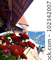 Slovenia lake Bled and red flowers 102342007