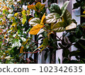 plant photos for background 102342635