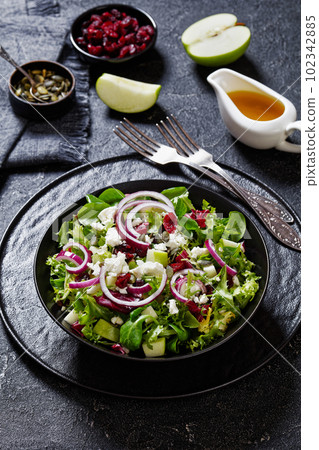 Green Salad with Apple, Cheese, Cranberry in bowl Green Salad with Apple, Cheese, Cranberry in bowl 102342885