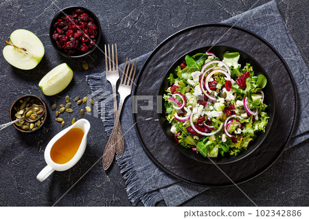 Green Salad with Apple, Cheese, Cranberry in bowl Green Salad with Apple, Cheese, Cranberry in bowl 102342886
