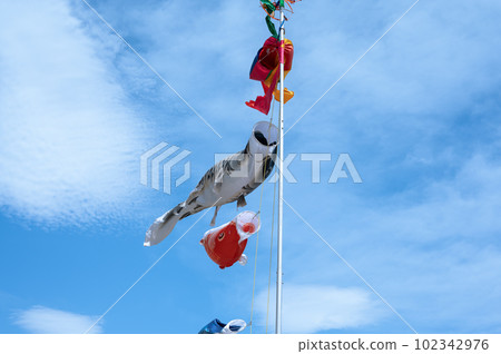 Carp streamer higher than the roof Carp streamer higher than the roof 102342976