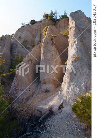 Konosu, a designated cultural property in Ueda City, Nagano Prefecture 102343017