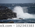 Wave 102343383