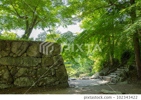 初夏的安土城遺址 102343422