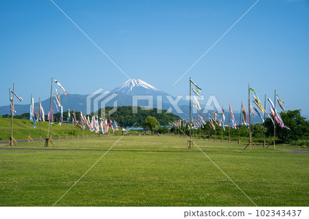 Mount Fuji carp streamer 102343437
