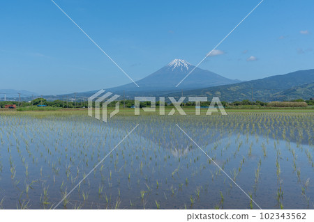 稻田和富士山倒置富士初夏 稻田和富士山倒置富士初夏 102343562