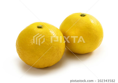 日向夏天 日向夏天 102343582