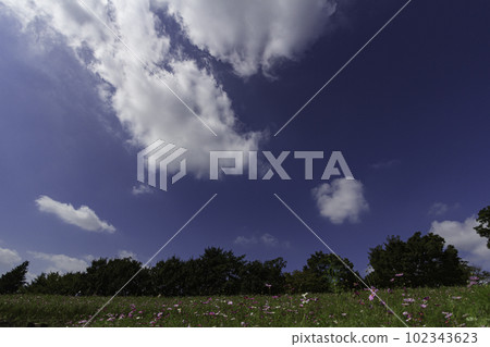 藍天、雲彩和花田 藍天、雲彩和花田 102343623