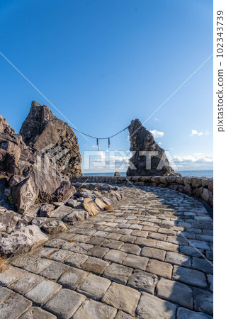 Cape Muroto Coast 102343739