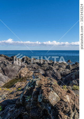 Cape Muroto Coast 102343824
