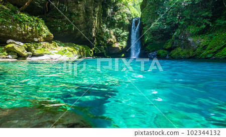 Nikobuchi (Niyodo Blue) 102344132