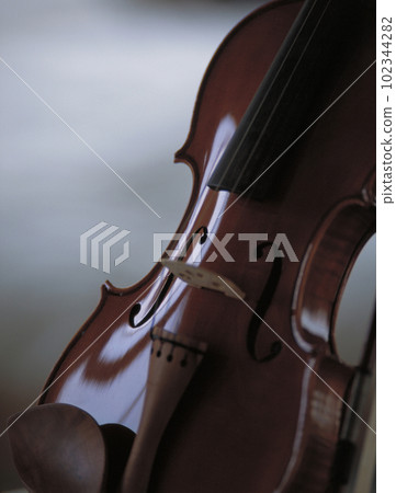 Image photo of a violin taken in a room with natural light Image photo of a violin taken in a room with natural light 102344282