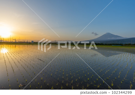 Rice fields and Mt.Fuji, upside-down Mt.Fuji, sunset 102344299