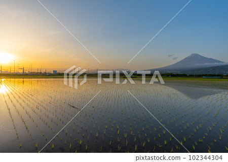 Rice fields and Mt.Fuji, upside-down Mt.Fuji, sunset 102344304