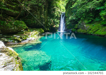 Nikobuchi（仁淀藍） 102344701