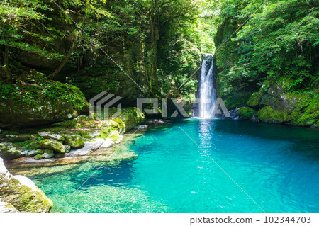 Nikobuchi(仁淀藍) Nikobuchi(仁淀藍) 102344703