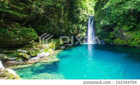 Nikobuchi(仁淀藍) Nikobuchi(仁淀藍) 102344704