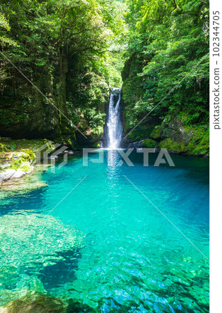 Nikobuchi (Niyodo Blue) 102344705