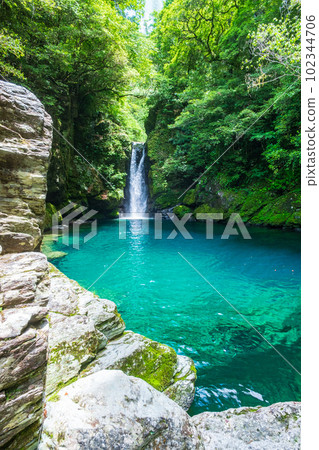 Nikobuchi(仁淀藍) Nikobuchi(仁淀藍) 102344706