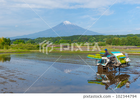 Rice fields and Mt.Fuji Farming: Yuzuno no Sato (Fujinomiya City) 102344794