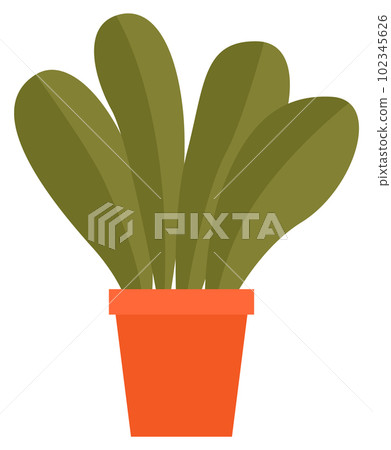 Decorative green plant with long leaves in ceramic pot, pot with houseplant. Home interior plant Decorative green plant with long leaves in ceramic pot, pot with houseplant. Home interior plant 102345626