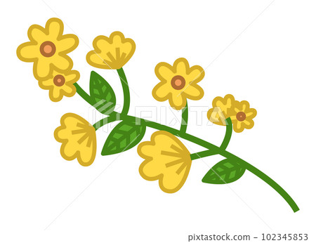 Yellow flower. Green branch with small flowers and leaves. Flowering ornamental garden or wild plant 102345853