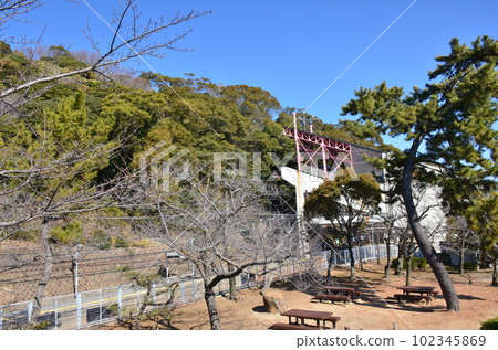 在須磨浦公園 在須磨浦公園 102345869