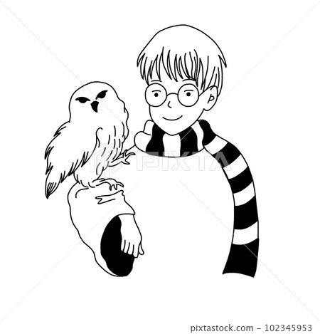 Harry Boy in glasses with white owl from the books. 102345953