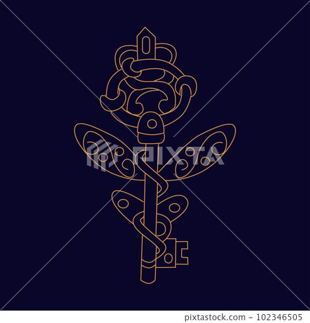 Magic golden key with wings Hand draw boho fantasy art for poster or t-shirt Magic golden key with wings Hand draw boho fantasy art for poster or t-shirt 102346505