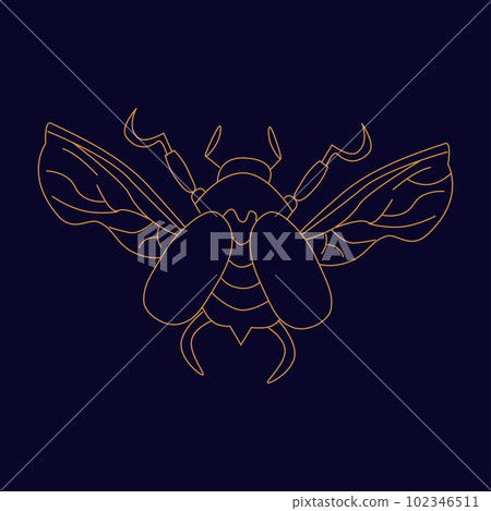 Flying golden scarab Hand draw boho fantasy art for poster or t-shirt Flying golden scarab Hand draw boho fantasy art for poster or t-shirt 102346511