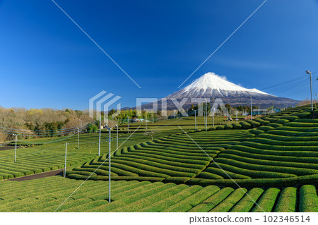 富士和茶園的絕佳景色 102346514