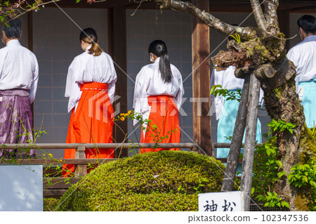 Early morning Matsuo Taisha Shinto priest prayer 102347536