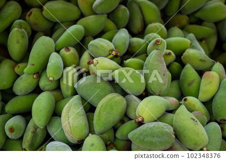 fresh green almonds in shell, almond pile fresh green almonds in shell, almond pile 102348376