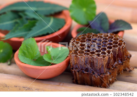 Medicinal herbs with honey comb 102348542