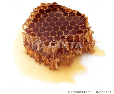 Honey Comb 102348543