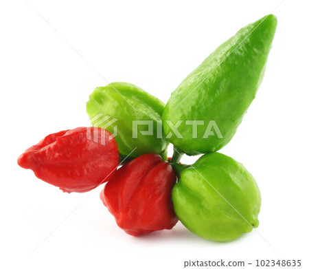Different types of chilies 102348635