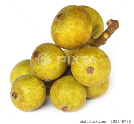 India figs named as Dumur fruits 102348756